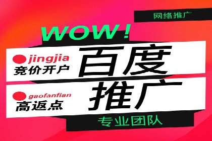 竞价代运营的案例研究：如何精准投放广告并获得回报